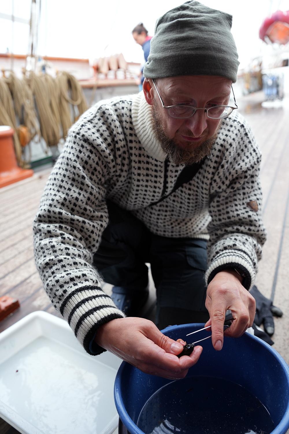 Person sitter på kne og studerer en liten fisk om bord på et skip
